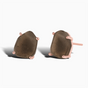 Stud Earrings