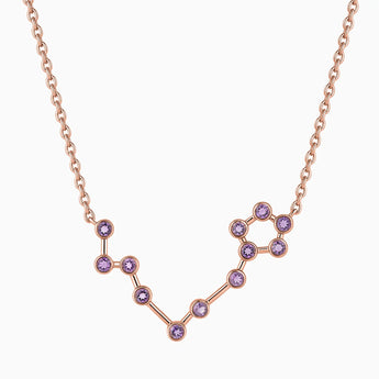 18KT Rose Gold Vermeil Pisces Zodiac Constellation Necklace - Amethyst Front View