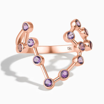 18KT Rose Gold Vermeil Pisces Zodiac Constellation Ring - Amethyst Front View