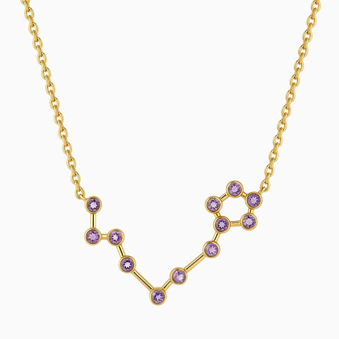 18KT Yellow Gold Vermeil Pisces Zodiac Constellation Necklace - Amethyst Front View
