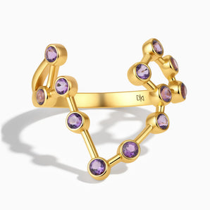 18KT Yellow Gold Vermeil Pisces Zodiac Constellation Ring - Amethyst Front View