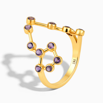 18KT Yellow Gold Vermeil Pisces Zodiac Constellation Ring - Amethyst Side View