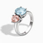 Two Stone Rings