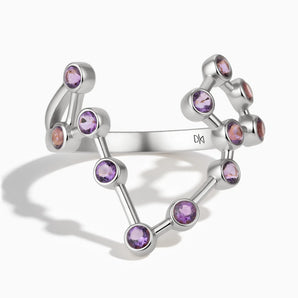 925 Sterling Silver Pisces Zodiac Constellation Ring - Amethyst Front View
