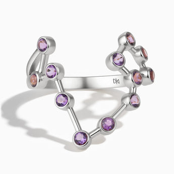 925 Sterling Silver Pisces Zodiac Constellation Ring - Amethyst Front View