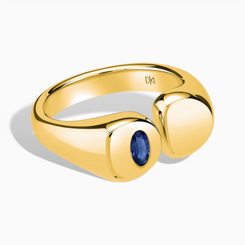 Oval Blue Sapphire Signet Ring - Close at Hand 18KT Yellow Gold Vermeil Front View