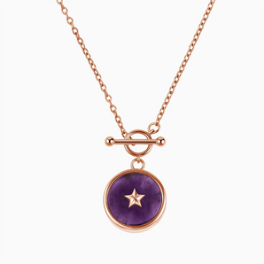 Round Amethyst Toggle Clasp Necklace - Inner Star 18KT Rose Gold Vermeil Front View